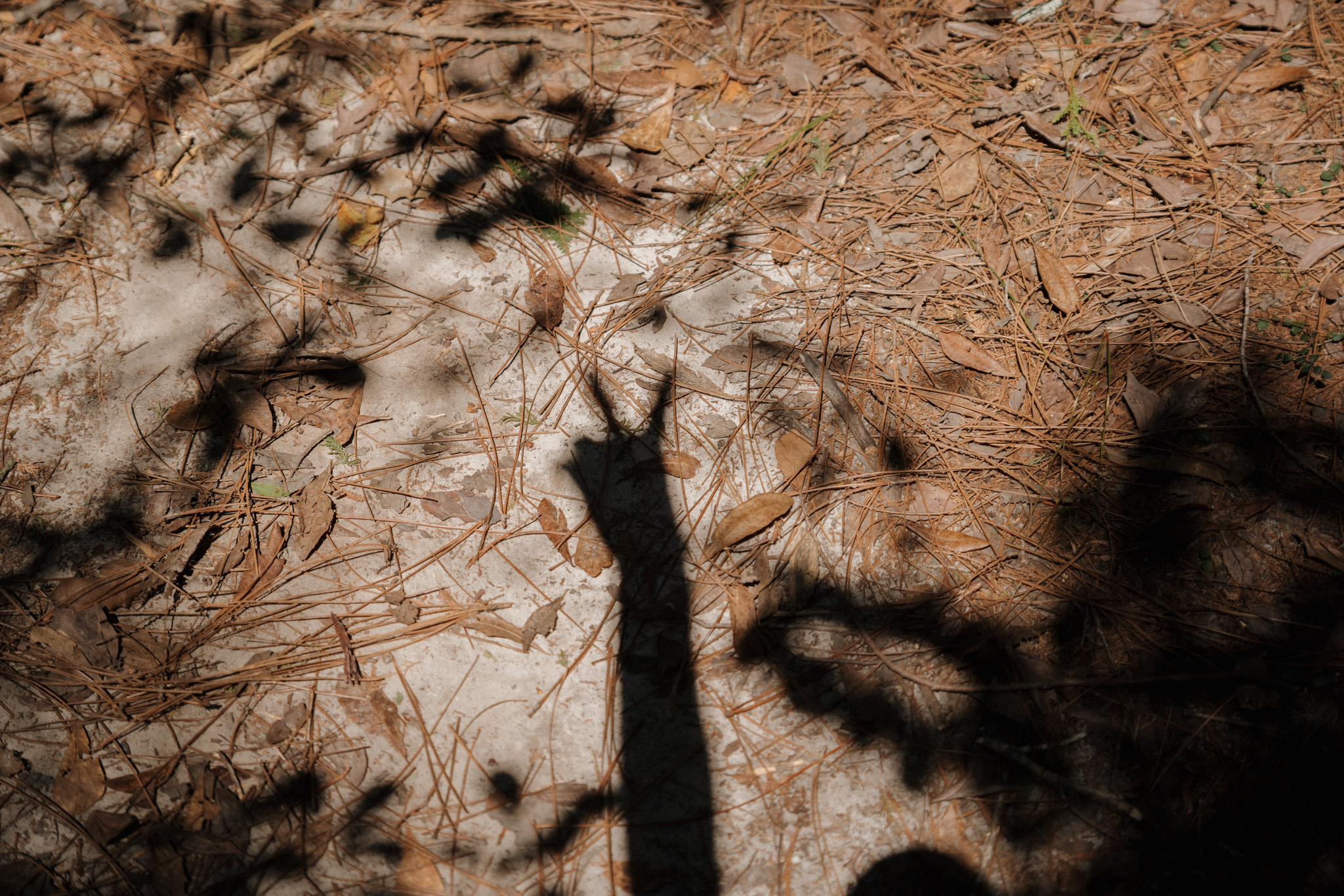 The Courageous Creative